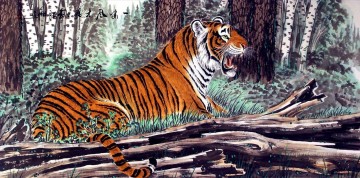 tiger 7 Oil Paintings